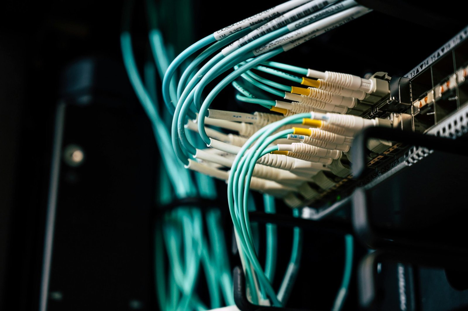 Türkise Glasfaserkabel, die in einem Switch im Serverschrank stecken